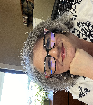 website photo
