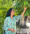 website photo