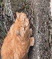 website photo