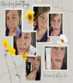 website photo