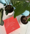 website photo