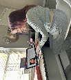website photo