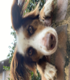 website photo