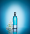 website photo