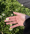 website photo
