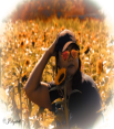 website photo