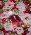 website photo