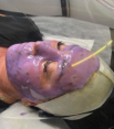 website photo