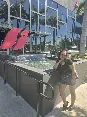 review user image